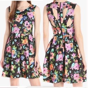 Betsy Johnson Fit N Flare Floral Dress Size 12